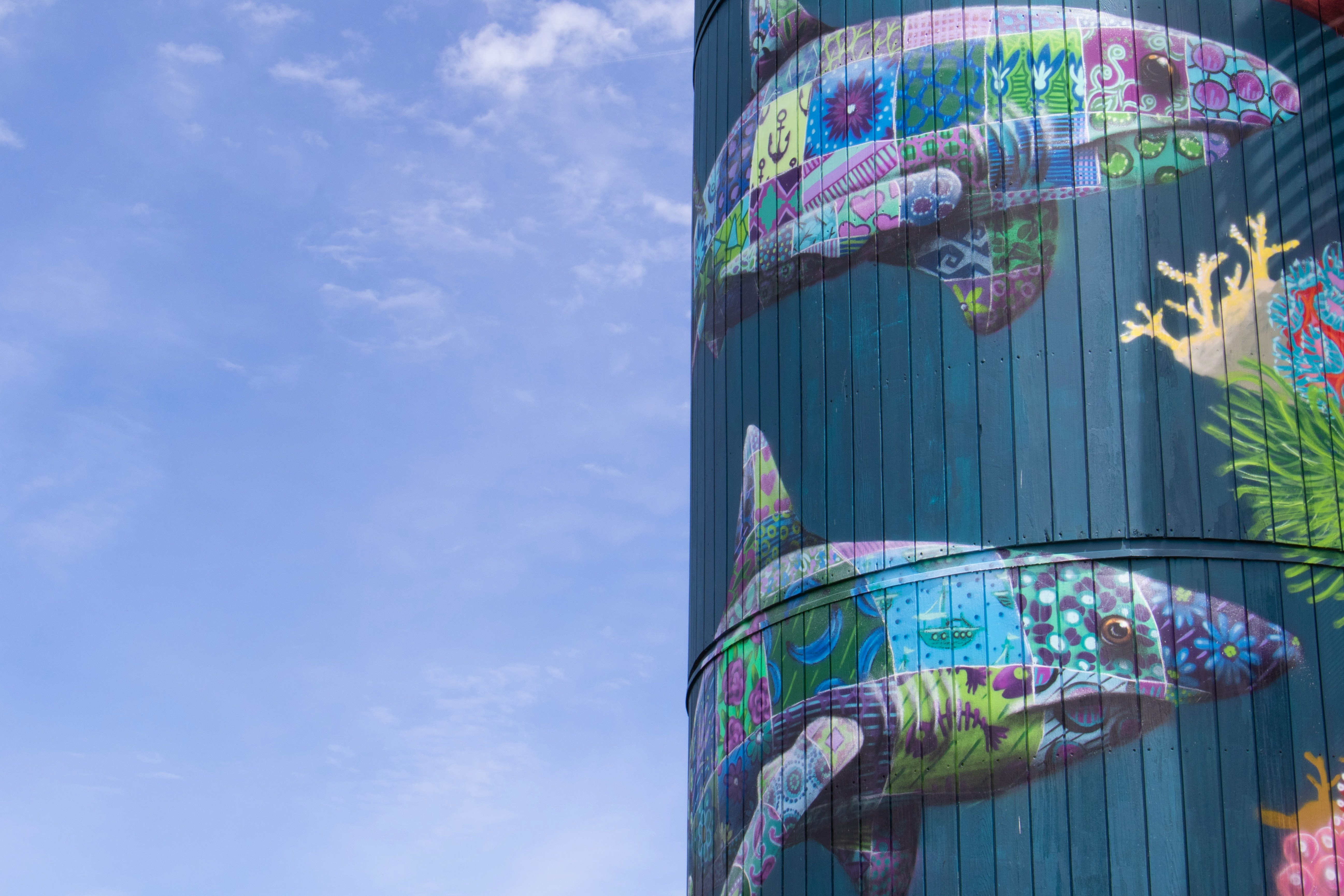 architectural photo of blue and pink building